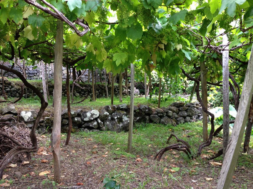 Holidays Madeira São Vicente Eksteriør bilde